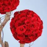 Majestic Round Rose 2 02