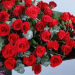 Rhapsody of Red Roses 4 03