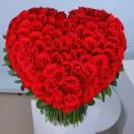 Red Rose Extravaganza 3 03