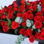 Rhapsody of Red Roses 3 04