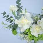 Serene Hydrangea Haven Box 3 04