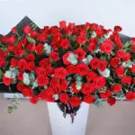 Rhapsody of Red Roses 5 05