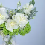 Serene Hydrangea Haven Box 4 05