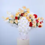 Peach and White Perfection 1 1