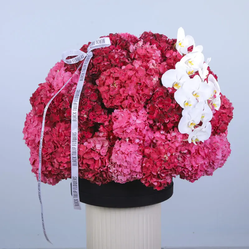 1 Elegant floral gift - a hat box filled with pink and purple hydrangeas and white orchids.