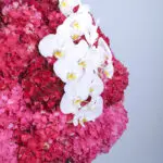 Blush & Crimson Bliss 2 2