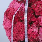 Blush & Crimson Bliss 3 3