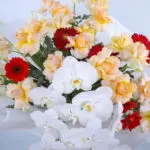 Peach and White Perfection 4 4