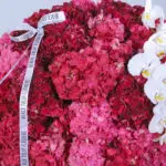 Blush & Crimson Bliss 4 4