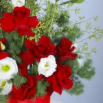 Crimson Hat Box 3 3 (99)