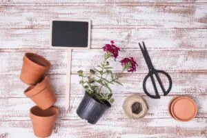 DIY Flowerpot