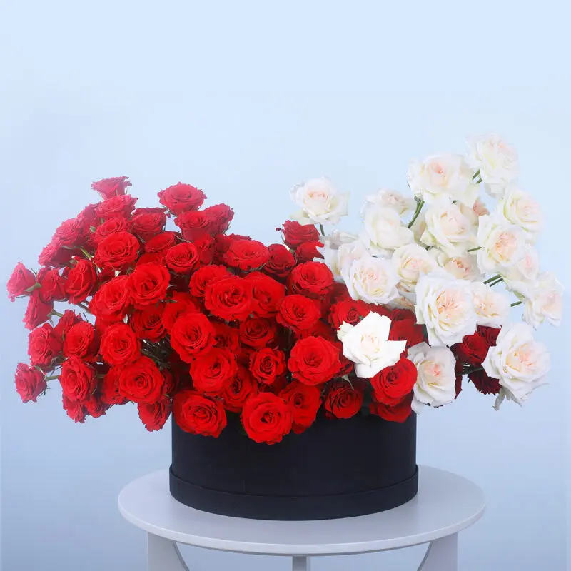 Timeless Romance Rose & Ohara Box Round box of 250 red roses and 50 white Ohara roses.