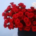 Timeless Romance Rose & Ohara Box 3 02 - Timeless Romance Rose & Ohara Box