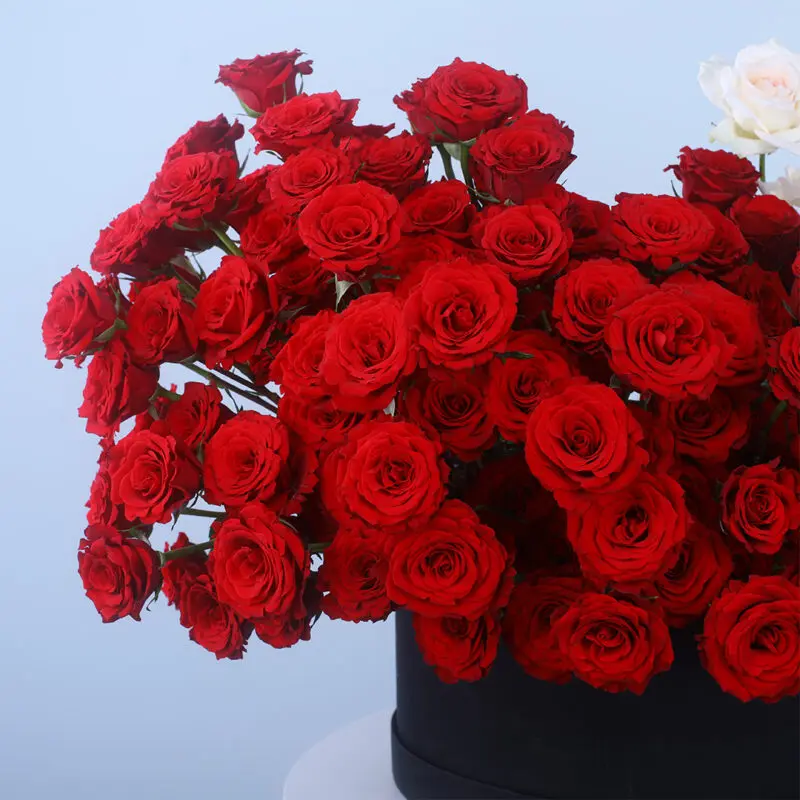 02 - Timeless Romance Rose & Ohara Box Luxurious arrangement of red roses and white Ohara roses in a round box.