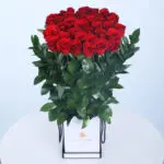Timeless Red Roses 1 02 - Timeless Red Roses