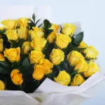 Golden Glow 36 Roses 3 02 - Golden Glow Roses