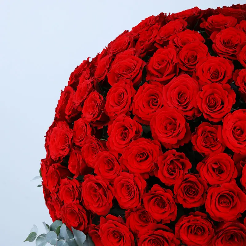 03 - Crimson Elegance Rose Box Crimson Elegance Rose Box – 300 Red Roses with Eucalyptus