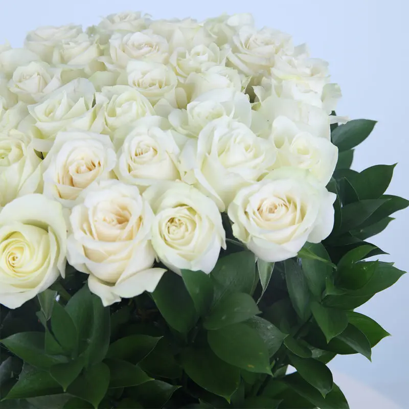 Elegant 30 white roses and green leaves in a chic box.