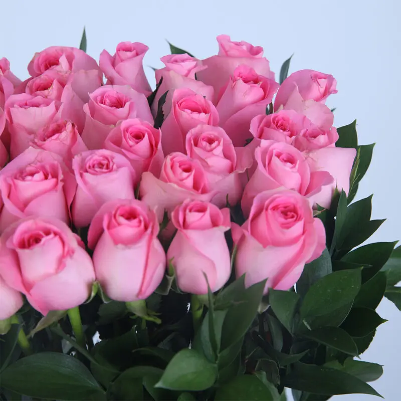 03 - Stylish Box of Pink Roses Stunning arrangement of 30 pink roses in a box with elegant green leaves.