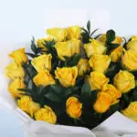 Golden Glow 36 Roses 2 03 - Golden Glow Roses