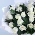 Sophisticated 36 White Roses 3 03 - Sophisticated White Roses