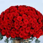 Crimson Elegance Rose Box 2 04 - Crimson Elegance Rose Box