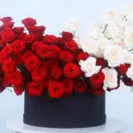 Timeless Romance Rose & Ohara Box 4 04 - Timeless Romance Rose & Ohara Box