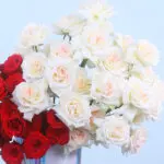 Marble Luxe Rose & O'Hara Delight 4 04 - Marble Luxe Rose & O'Hara Delight