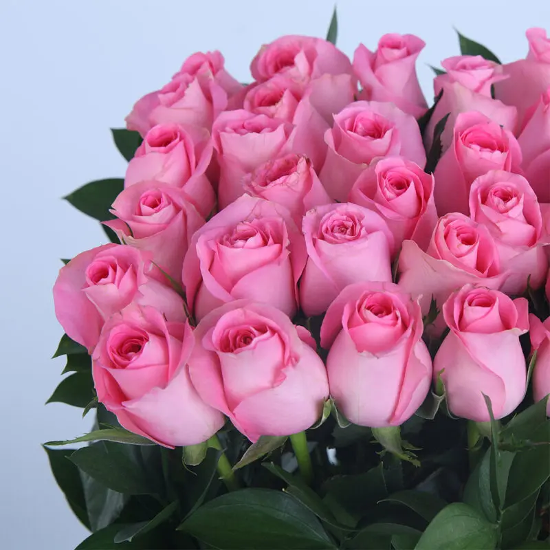 04 - Stylish Box of Pink Roses 04 82