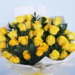 Golden Glow 36 Roses 4 04 - Golden Glow Roses