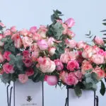 Floral Rose Combo 4 04 - Floral Rose Combo