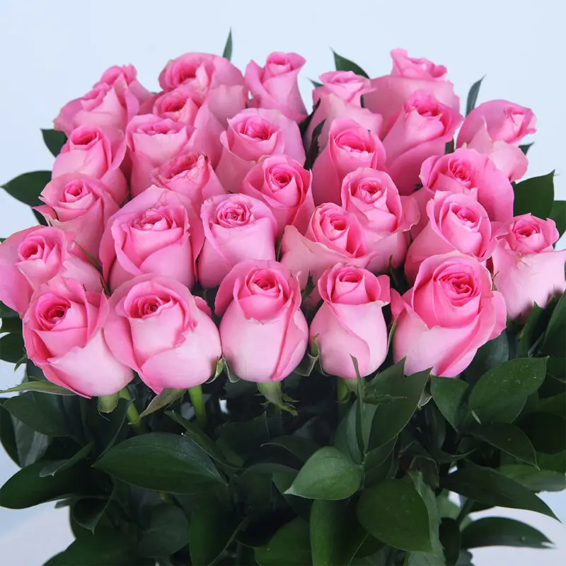 05 - Stylish Box of Pink Roses 05 25