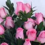 Pretty Pink 36 Rose Bouquet 2 05 - Pretty Pink Rose Bouquet