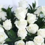 Sophisticated 36 White Roses 5 05 - Sophisticated White Roses