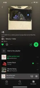 A screenshot of a Spotify playlist titled "The Perfect Pair." The playlist includes songs by Beabadoobee, TV Girl, Jack Hisatomi, and others.