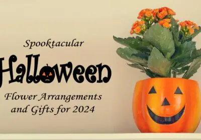 A Halloween-themed image with a pumpkin-shaped vase filled with orange flowers, and text that says "Spooktacular Halloween Flower Arrangements and Gifts for 2024.