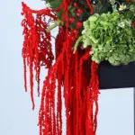 National Day Floral Tribute Box 4 05