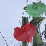 Flag-Themed Orchid & Anthurium Box 2 5 (3)
