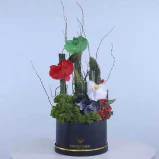 Flag-Themed Orchids Flower box