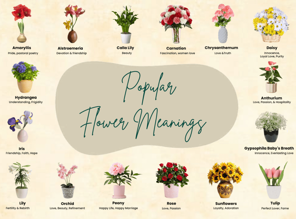 Flower meanings chart list