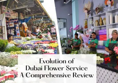 A graphic illustrating the evolution of Dubai Flower Service. The image shows a timeline with different stages of growth and development.