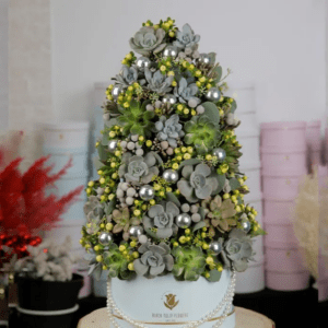 A decorative succulent Christmas tree, showcasing vibrant green plants arranged in a festive tree shape.