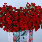 Charming 60 Red Roses Bag 3 03