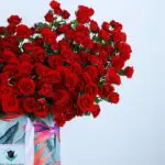 Charming 60 Red Roses Bag 4 04
