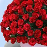 250 Red Rose Luxury Box 4 04