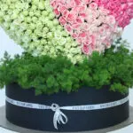 500 Sweet heart design 2 04