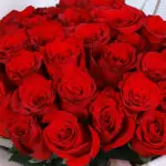 66 Red Rose Bouquet 6 05