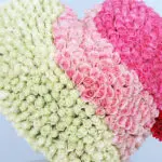 Heartfelt Rose Display 2 06