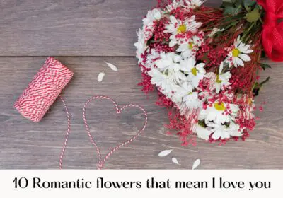 A beautiful arrangement of ten romantic flowers symbolizing love, showcasing vibrant colors and delicate petals.