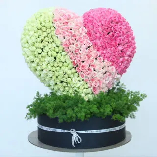 500 stem white and light pink and pink rose heart arrangement